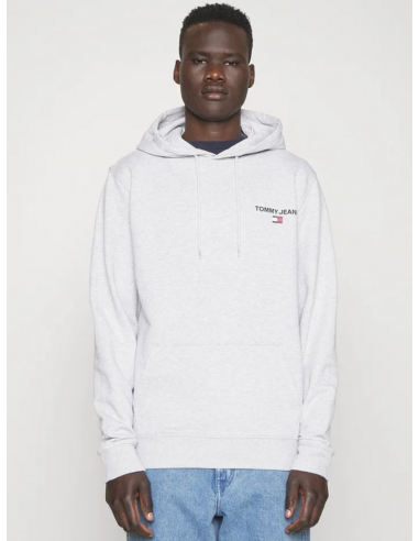 Sudadera Capucha Logo Hombre Tommy Jeans DM0DM17781 TJM REG ENTRY GRAPHIC HOODIE