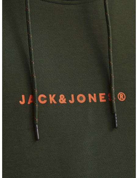 Sudadera Capucha Ajustable Jack&Jones 12257192 JJTREE SWEAT HOOD